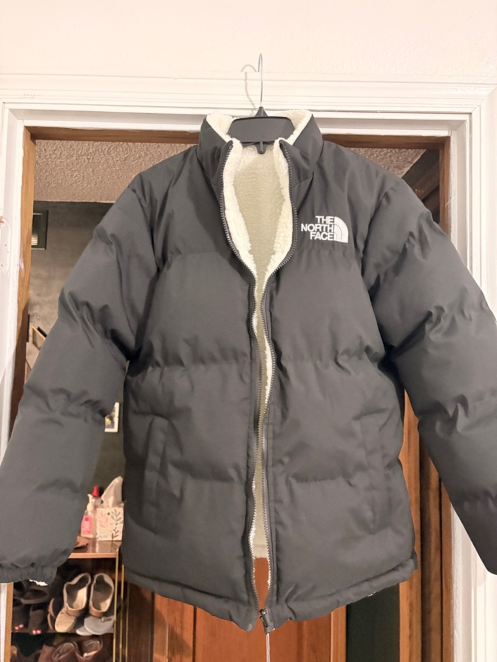 The North Face Black Puffer Jacket with Cream Sherpa Lining
